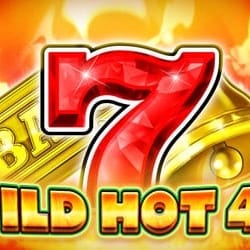 WILD HOT 40 game cover